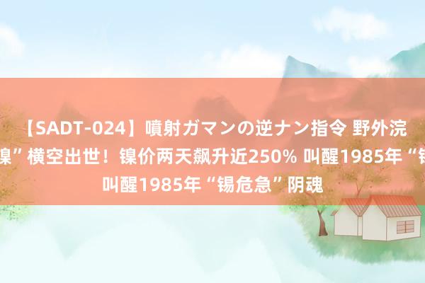 【SADT-024】噴射ガマンの逆ナン指令 野外浣腸悪戯 “妖镍”横空出世！镍价两天飙升近250% 叫醒1985年“锡危急”阴魂