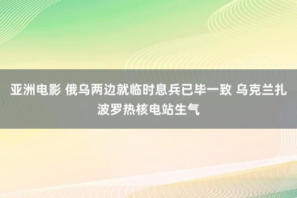 亚洲电影 俄乌两边就临时息兵已毕一致 乌克兰扎波罗热核电站生气