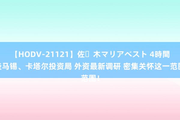 【HODV-21121】佐々木マリアベスト 4時間 淡马锡、卡塔尔投资局 外资最新调研 密集关怀这一范围！