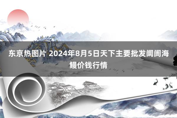 东京热图片 2024年8月5日天下主要批发阛阓海鳗价钱行情