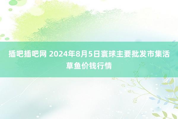 插吧插吧网 2024年8月5日寰球主要批发市集活草鱼价钱行情