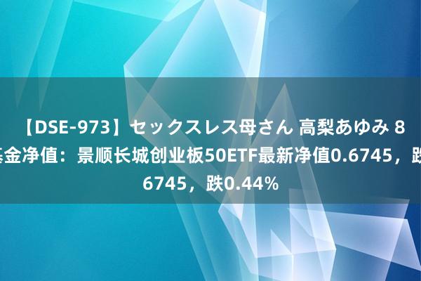 【DSE-973】セックスレス母さん 高梨あゆみ 8月7日基金净值：景顺长城创业板50ETF最新净值0.6745，跌0.44%