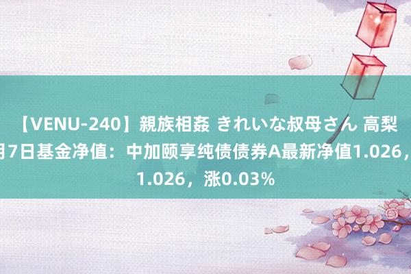 【VENU-240】親族相姦 きれいな叔母さん 高梨あゆみ 8月7日基金净值：中加颐享纯债债券A最新净值1.026，涨0.03%