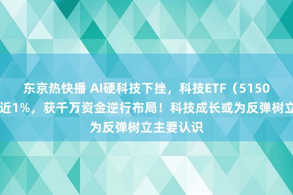 东京热快播 AI硬科技下挫，科技ETF（515000）收跌近1%，获千万资金逆行布局！科技成长或为反弹树立主要认识