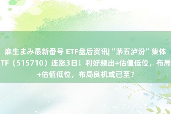 麻生まみ最新番号 ETF盘后资讯|“茅五泸汾”集体收红，食物ETF（515710）连涨3日！利好频出+估值低位，布局良机或已至？