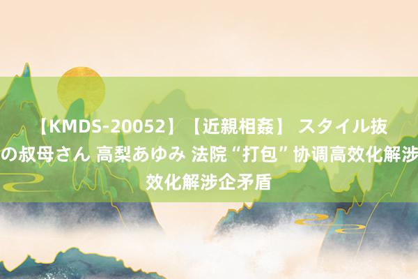 【KMDS-20052】【近親相姦】 スタイル抜群な僕の叔母さん 高梨あゆみ 法院“打包”协调高效化解涉企矛盾