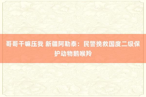 哥哥干嘛压我 新疆阿勒泰：民警挽救国度二级保护动物鹅喉羚