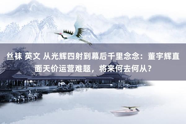 丝袜 英文 从光辉四射到幕后千里念念：董宇辉直面天价运营难题，将来何去何从？