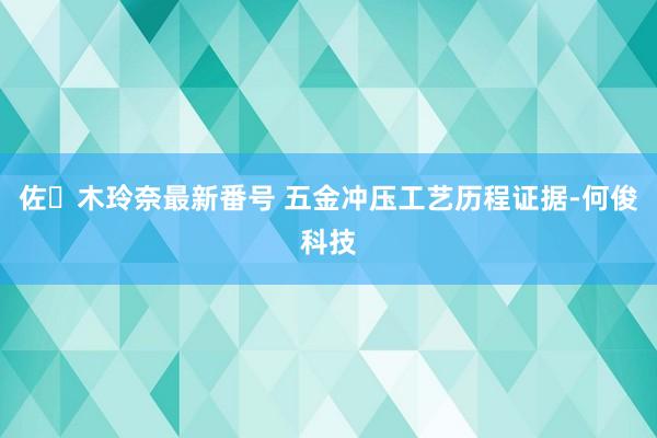 佐々木玲奈最新番号 五金冲压工艺历程证据-何俊科技