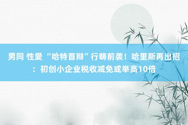 男同 性愛 “哈特首辩”行畴前袭！哈里斯再出招：初创小企业税收减免或举高10倍