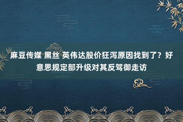 麻豆传媒 黑丝 英伟达股价狂泻原因找到了？好意思规定部升级对其反驾御走访