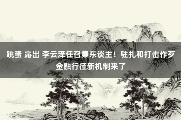 跳蛋 露出 李云泽任召集东谈主！驻扎和打击作歹金融行径新机制来了