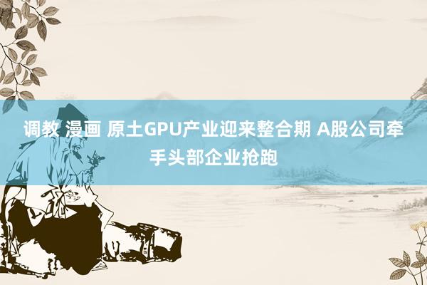 调教 漫画 原土GPU产业迎来整合期 A股公司牵手头部企业抢跑