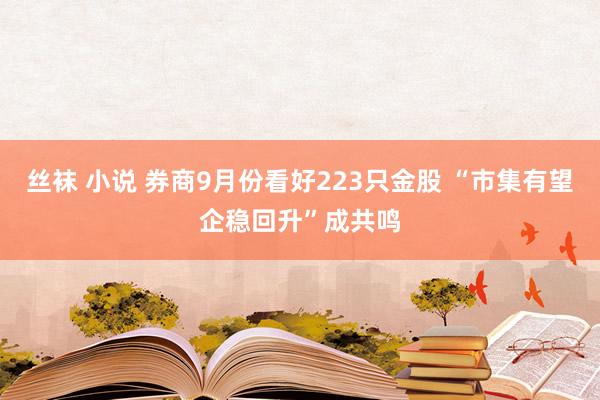 丝袜 小说 券商9月份看好223只金股 “市集有望企稳回升”成共鸣