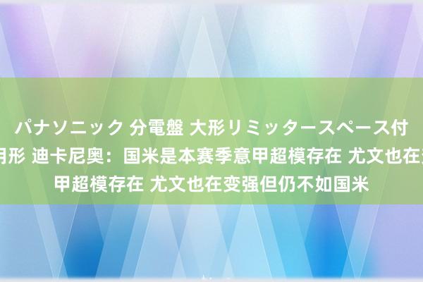 パナソニック 分電盤 大形リミッタースペース付 露出・半埋込両用形 迪卡尼奥：国米是本赛季意甲超模存在 尤文也在变强但仍不如国米