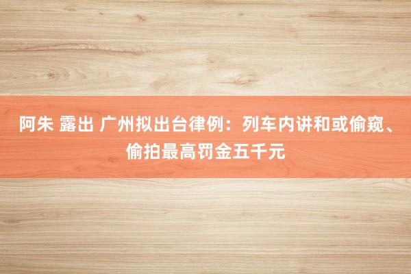 阿朱 露出 广州拟出台律例：列车内讲和或偷窥、偷拍最高罚金五千元