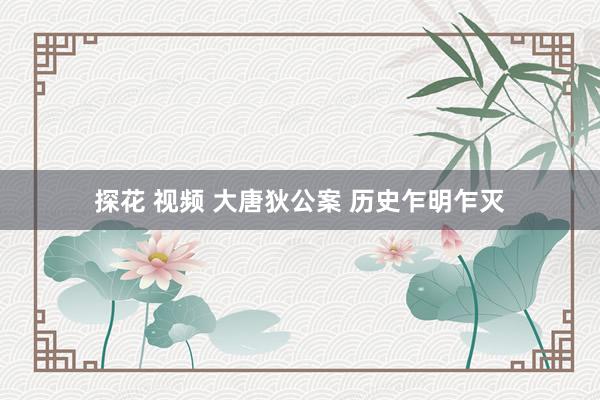 探花 视频 大唐狄公案 历史乍明乍灭