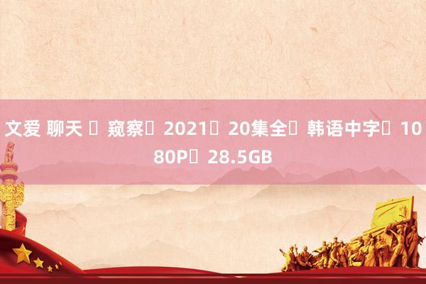 文爱 聊天 ☑窥察☑2021☑20集全☑韩语中字☑1080P☑28.5GB