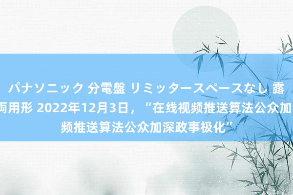 パナソニック 分電盤 リミッタースペースなし 露出・半埋込両用形 2022年12月3日，“在线视频推送算法公众加深政事极化”